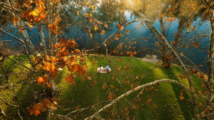 Autumn scene from above 