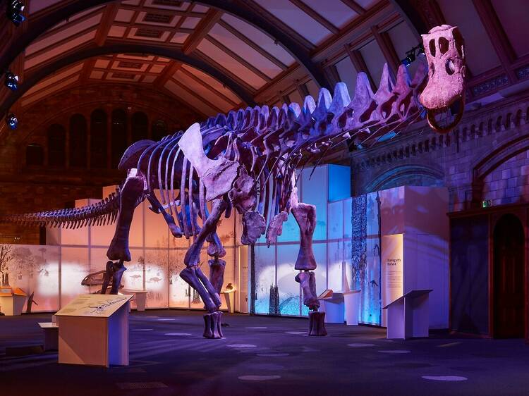 Titanosaur: check out the gigantic new dinosaur at the Natural History Museum