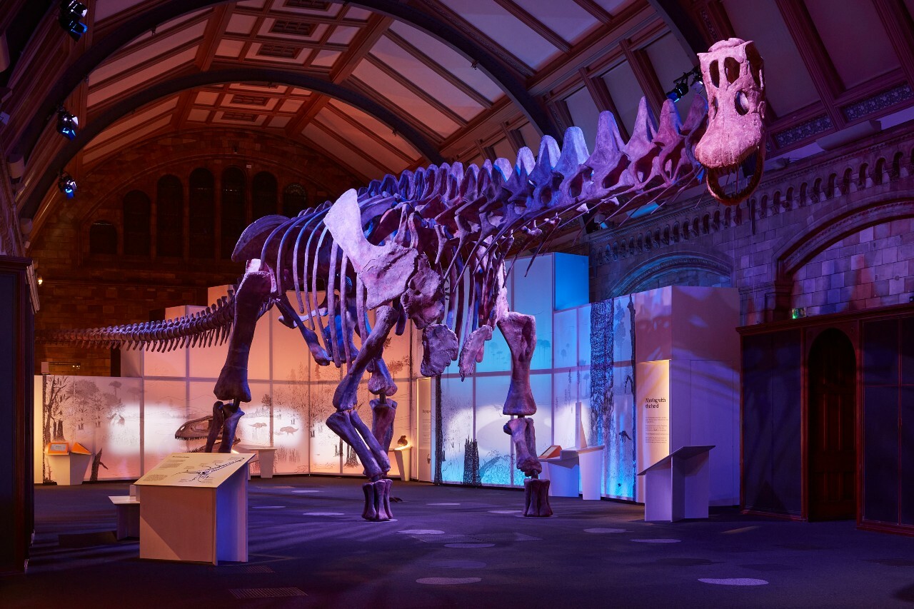 Titanosaurus: check out the gigantic new dinosaur at the Natural History Museum