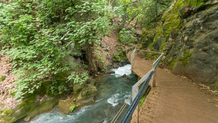 Banias Nature Reserve