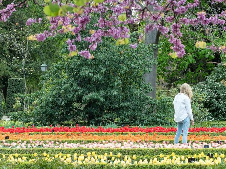 Real Jardín Botánico