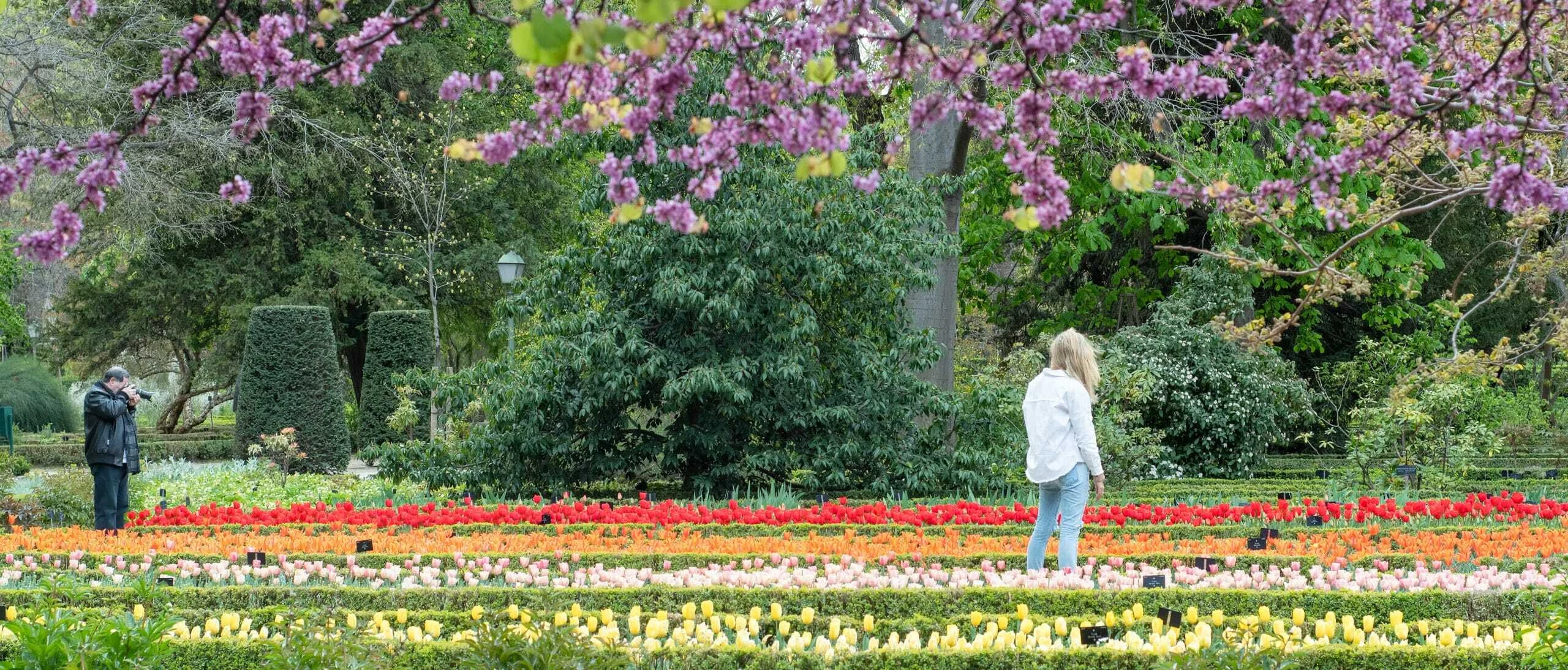 Dos personas entre los coloridos parterres de los tulipanes en flor del Real Jard&iacute;n Bot&aacute;nico