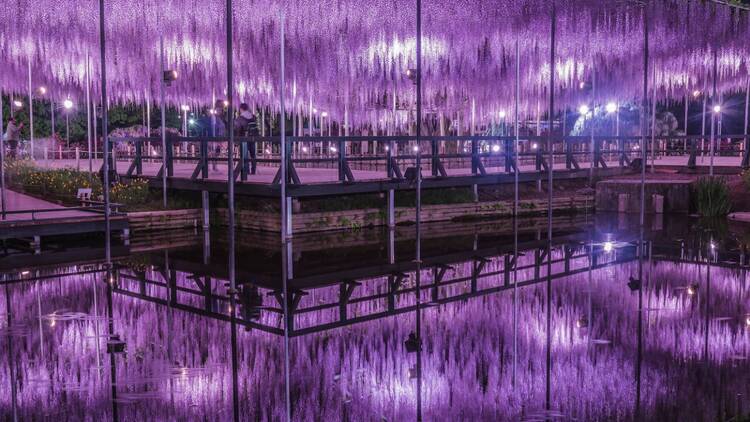 Ashikaga Flower Park