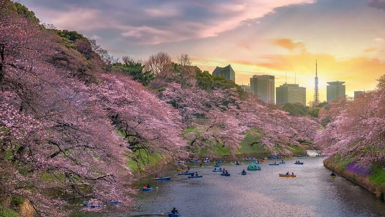 Tokyo