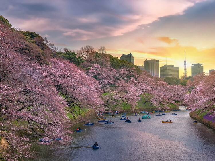 60週年永安送免費機票來回東京