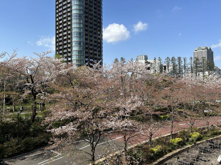 Midtown Garden (Tokyo Midtown), Roppongi