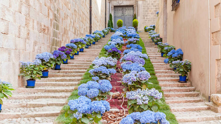 Girona. Temps de Flors la gran cita que cubre la ciudad con flores en primavera