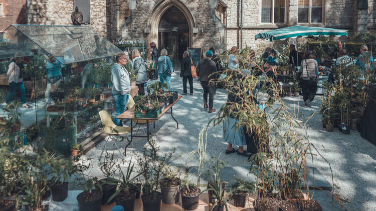 Spring Plant Fair 