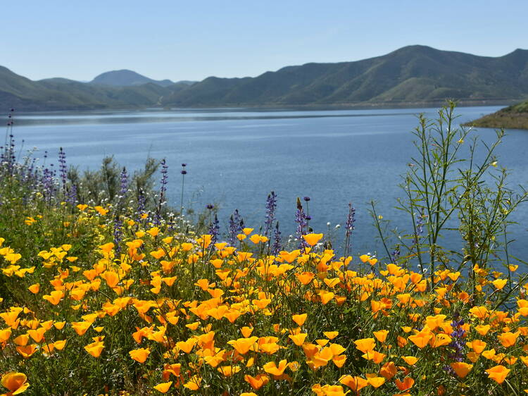 Diamond Valley Lake