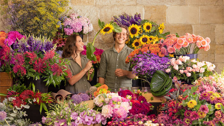 Colourful flowers of Jonima Florist 