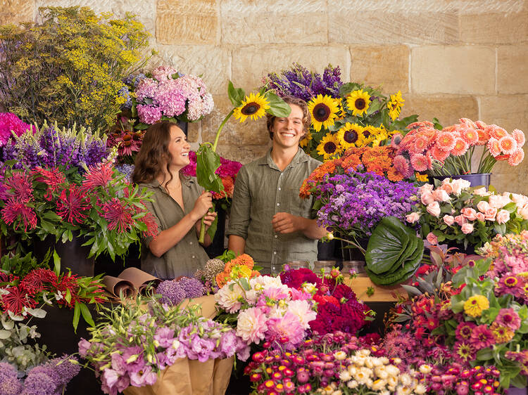 Colourful flowers of Jonima Florist 