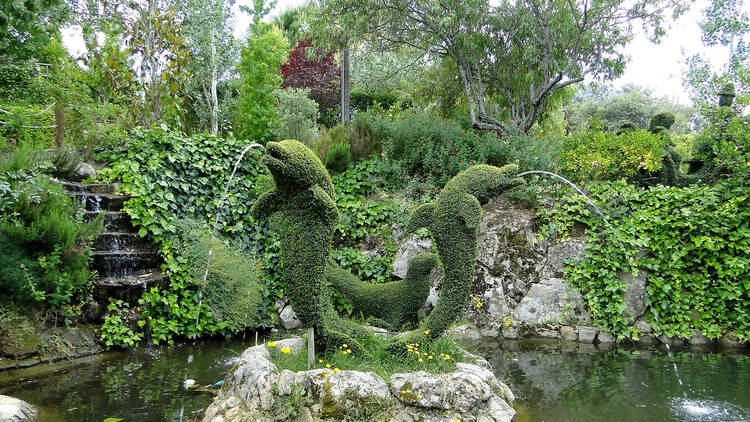 El Bosque Encantado de Tim Burton El Bosque Encantado de Tim Burton