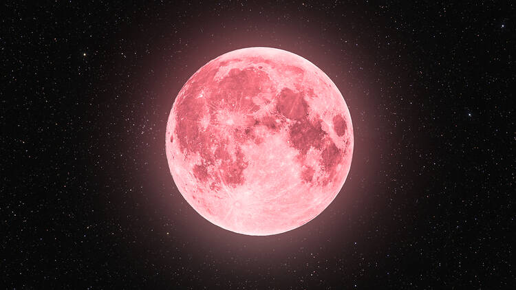 Pink moon