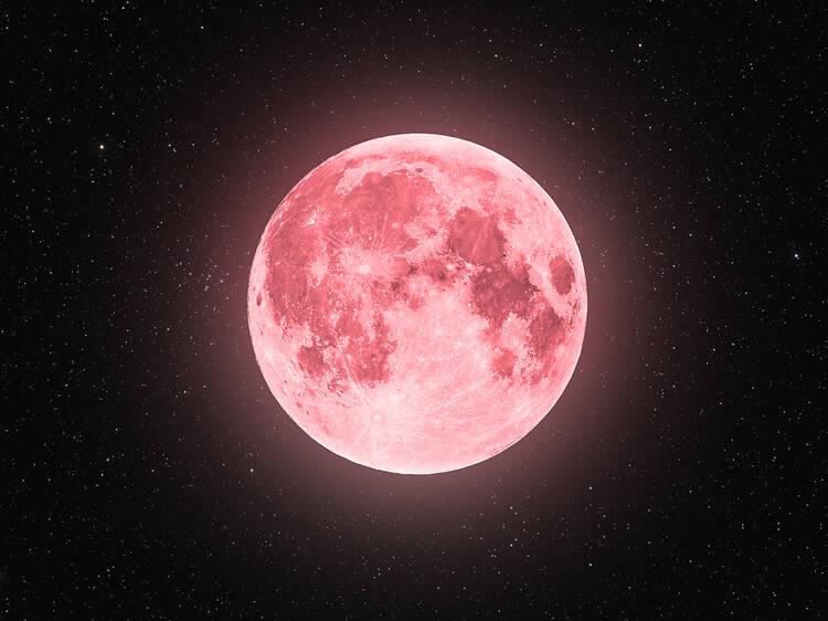 How to see April’s ‘pink moon’ in the UK this week