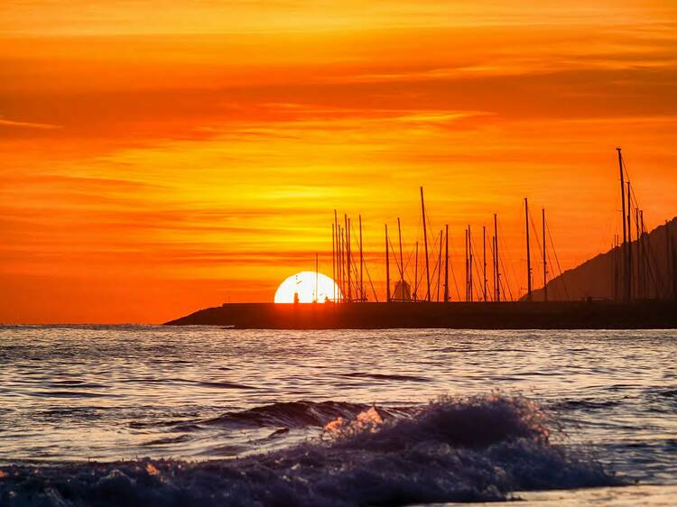 Costa y naturaleza