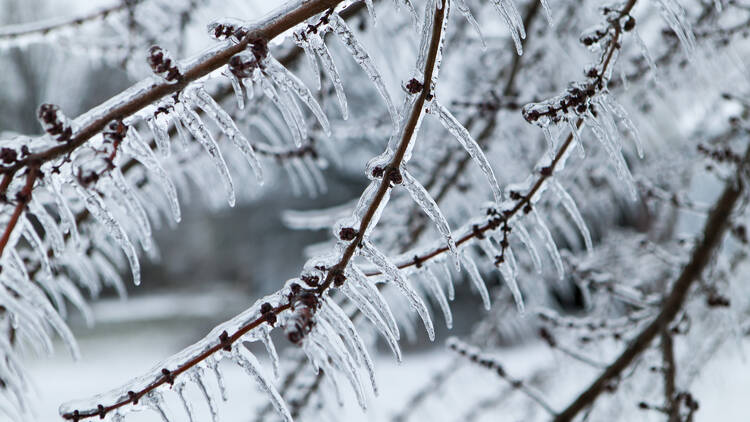 Freezing rain