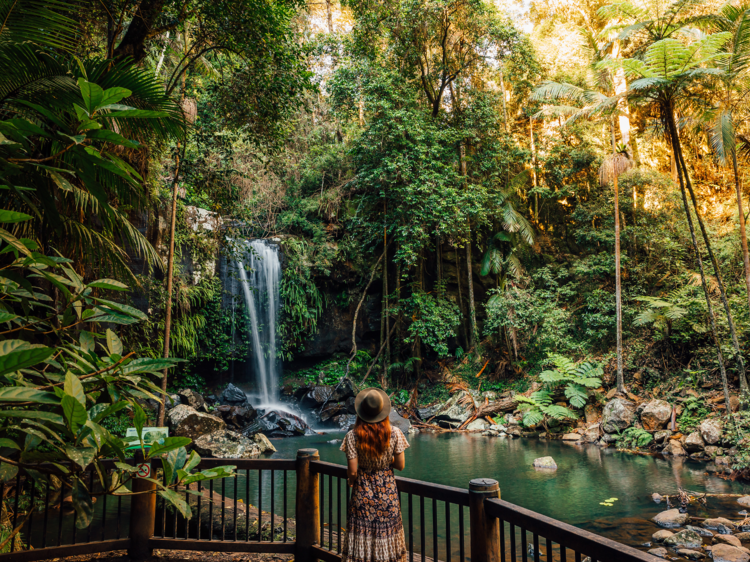 Cedar Creek Falls and Curtis Falls