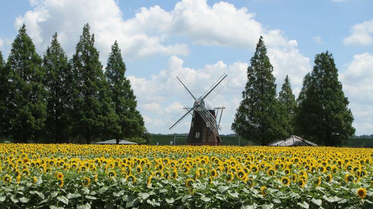 Akebonoyama Agricultural Park