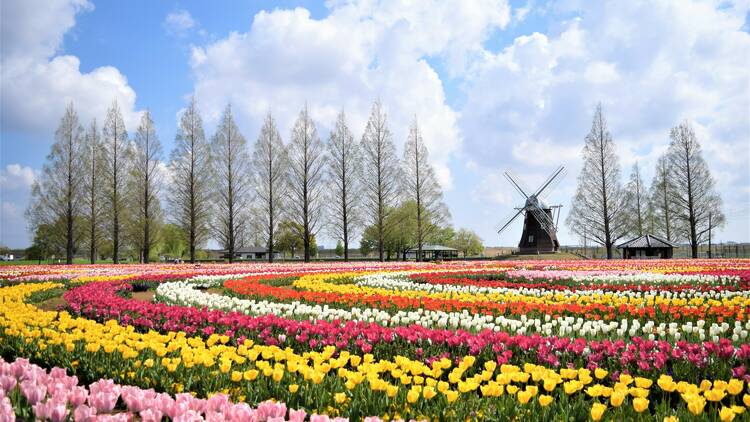 Akebonoyama Agricultural Park