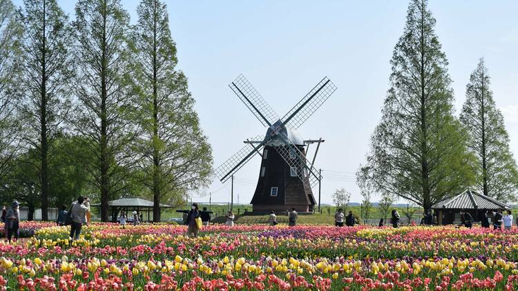 Akebonoyama Agricultural Park