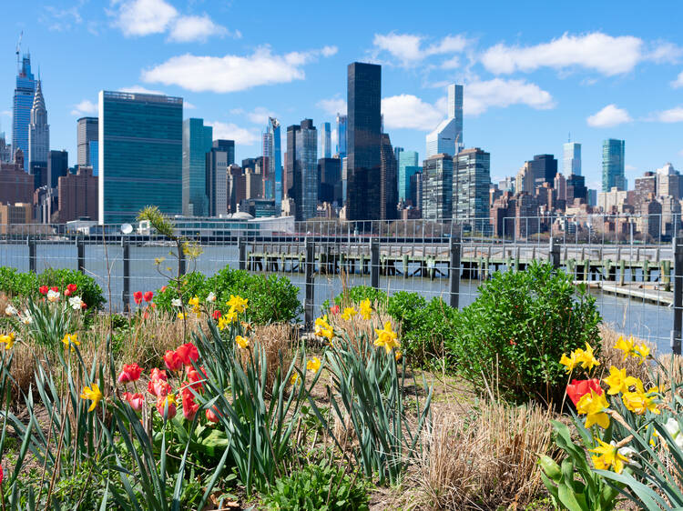 Colorful Plants and Flowers at Gantry Plaza State Park in Long Island City Queens with the Manhattan Skyline in the background