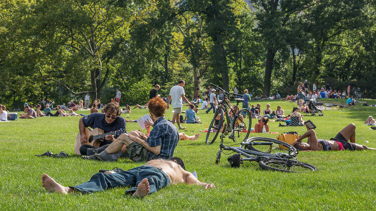 people sunbathing in central park in the summertime