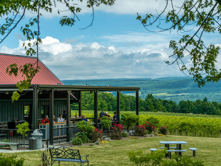 Finger Lakes Wine Country| New York