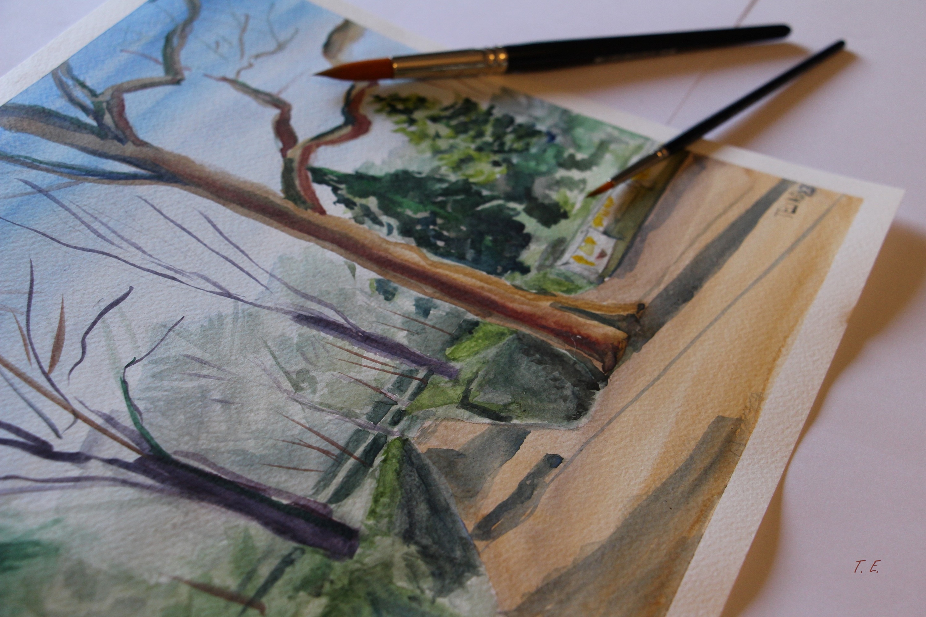 Workshop de pintura com aguarela