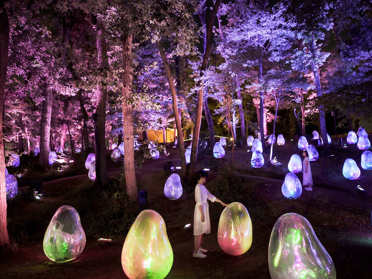 Here are all the amazing teamLab exhibitions in Japan