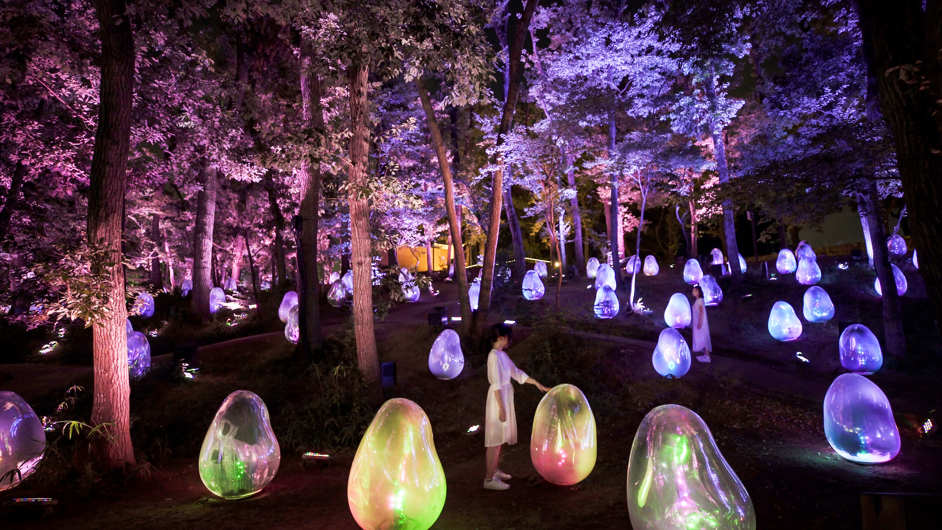 This forested park in Saitama has an outdoor teamLab exhibition