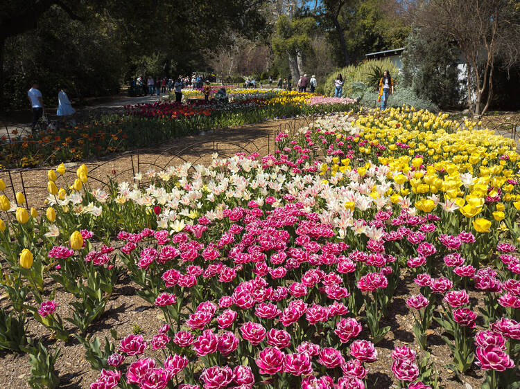 The best botanical gardens and hidden oases in Los Angeles