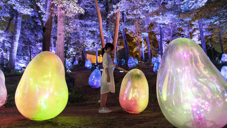 teamLab: Resonating Life in the Acorn Forest in Saitama
