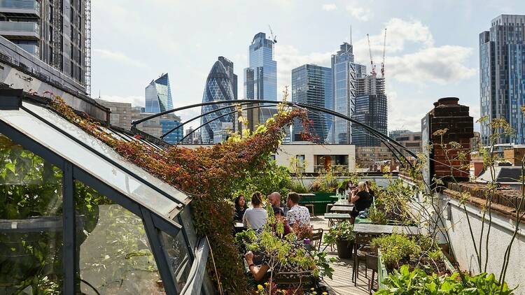 Rooftop bar of Culpeper on a sunny day 