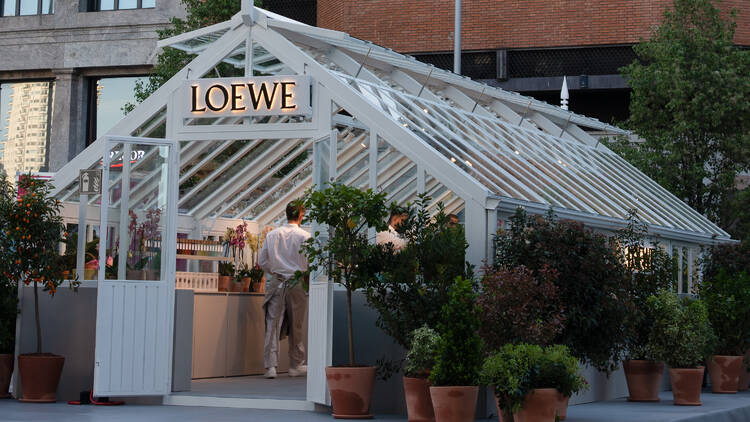 LOEWE