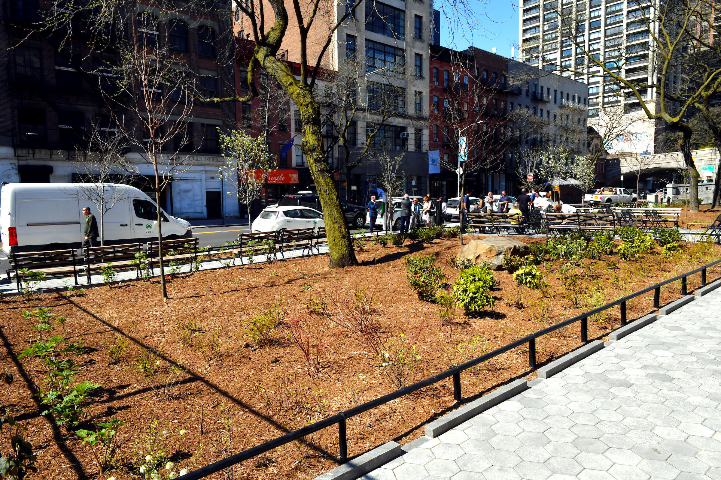 NYC Parks’ Honey Locust Park