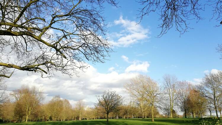 Finsbury Park on a sunny day