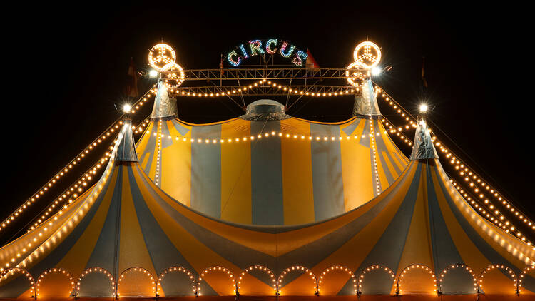 Circus tent at night with its colorful lights on