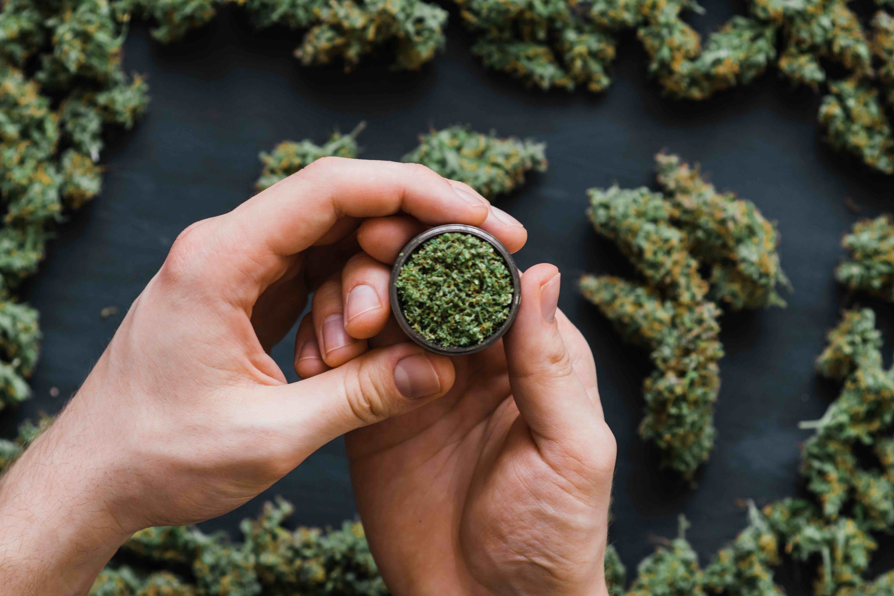 timeout.com - Mark Peikert - This popular weed festival is happening on the summer solstice this year, complete with DJ sets, samplings and more