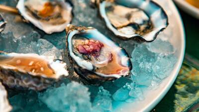 River Oyster Bar River Oyster Bar