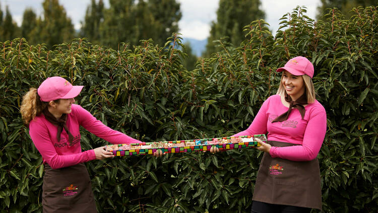 Two smiling women in pink caps and brown aprons holding either end of a multi-coloured cylinder in the foreground of a leafy garden..