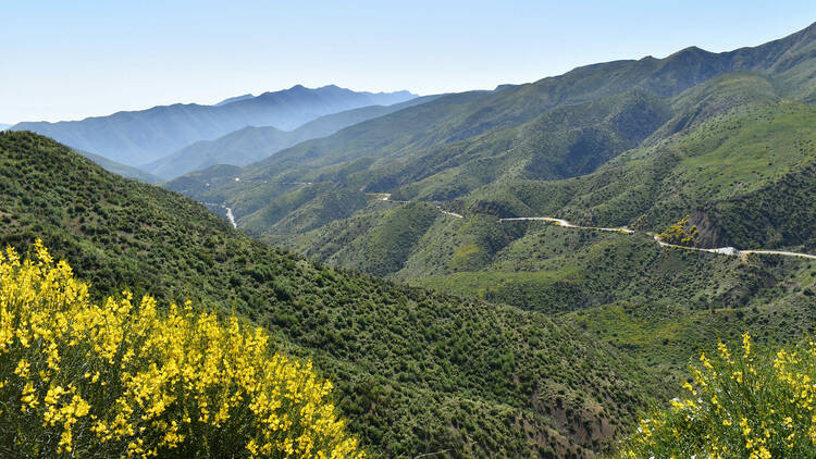 Los Padres National Forest