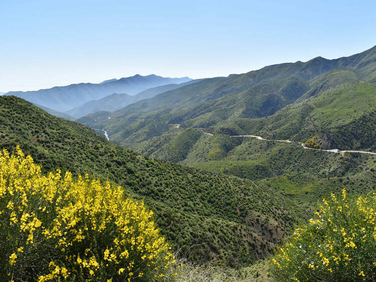 Los Padres National Forest