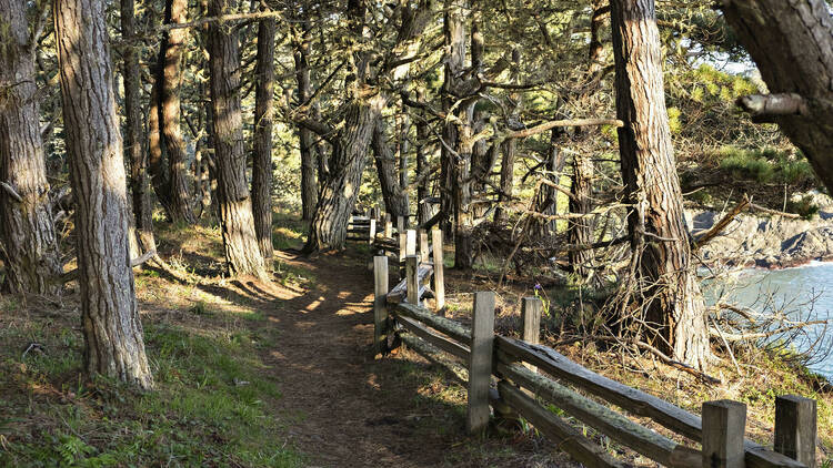 Russian Gulch State Park