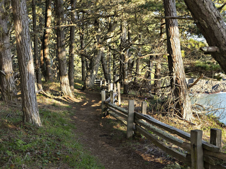 Russian Gulch State Park