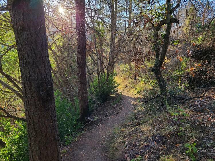 Bothe-Napa Valley State Park