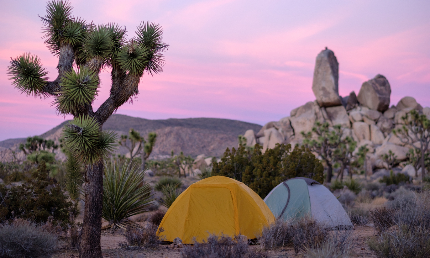 The Best Camping in California