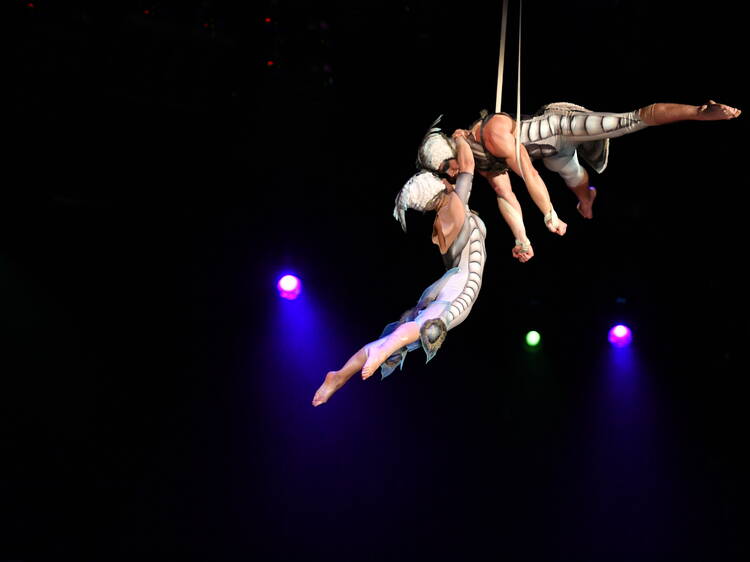 Cirque du Soleil traz "Ovo" a Lisboa em Dezembro