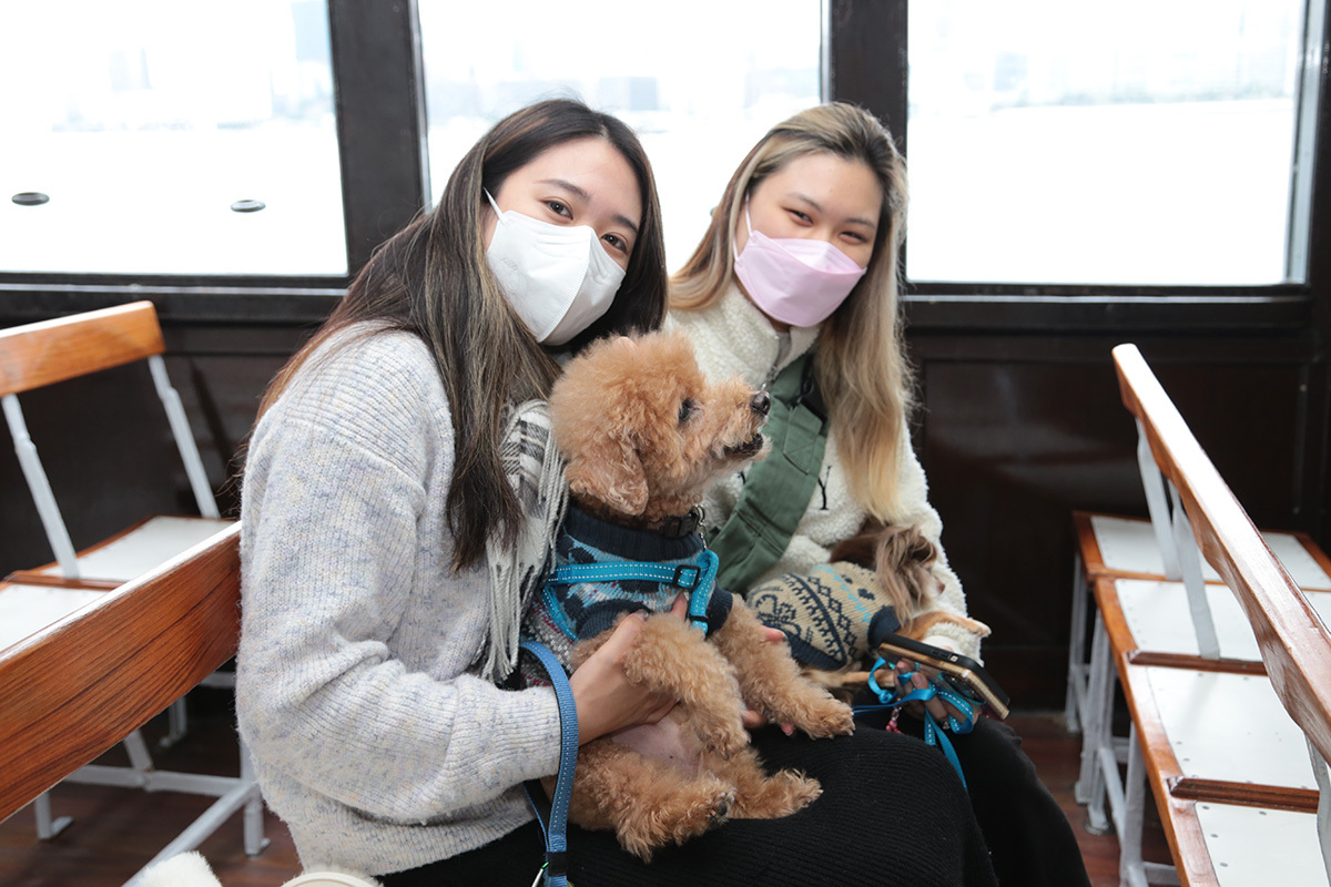 petfriendly hong kong, where to bring dogs in hong kong, Star Ferry