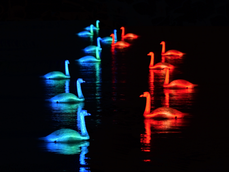 Glowing animatronic swans will fill the Thames at this year’s Greenwich + Docklands Festival