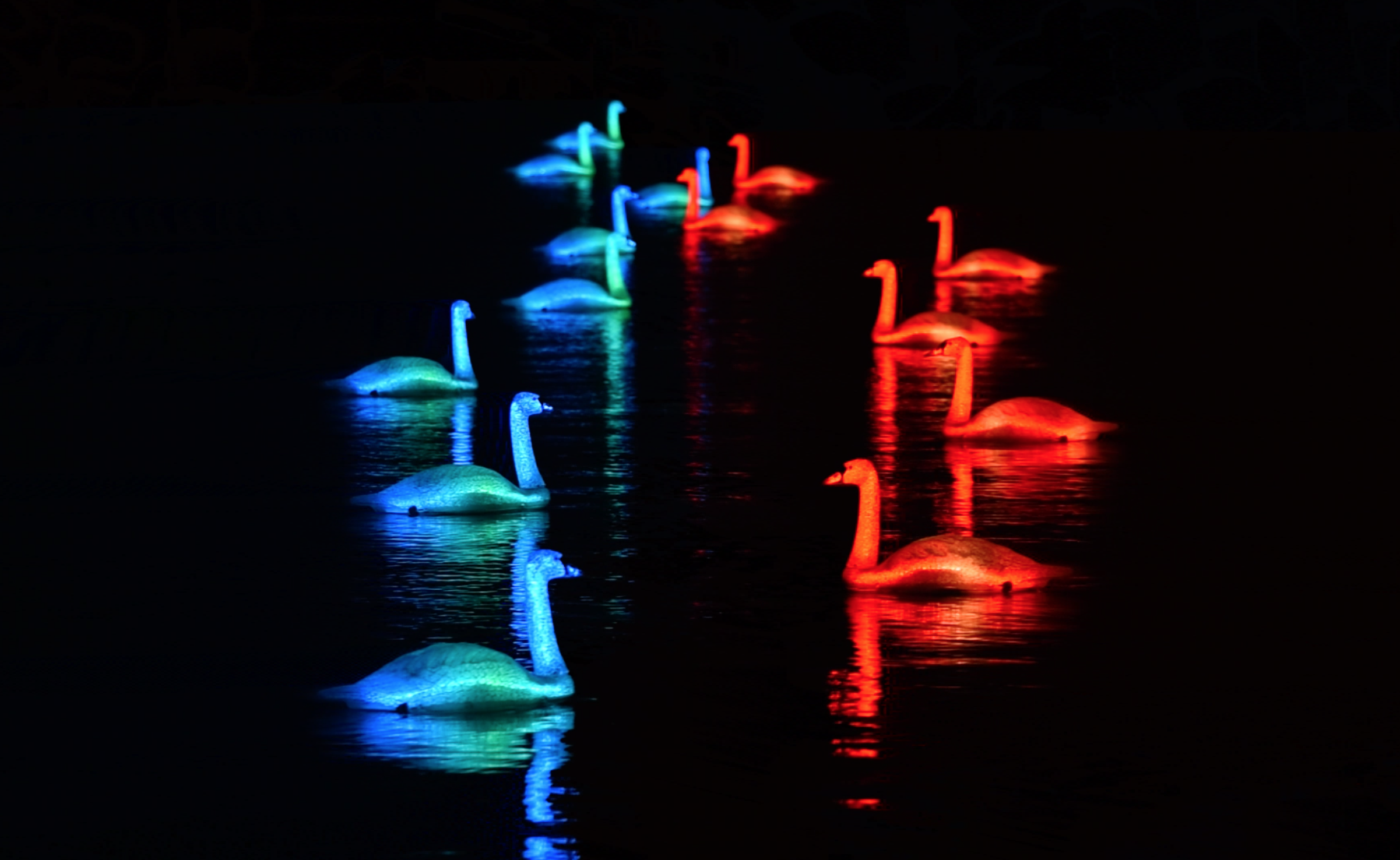 Glowing animatronic swans will fill the Thames at this year’s Greenwich + Docklands Festival